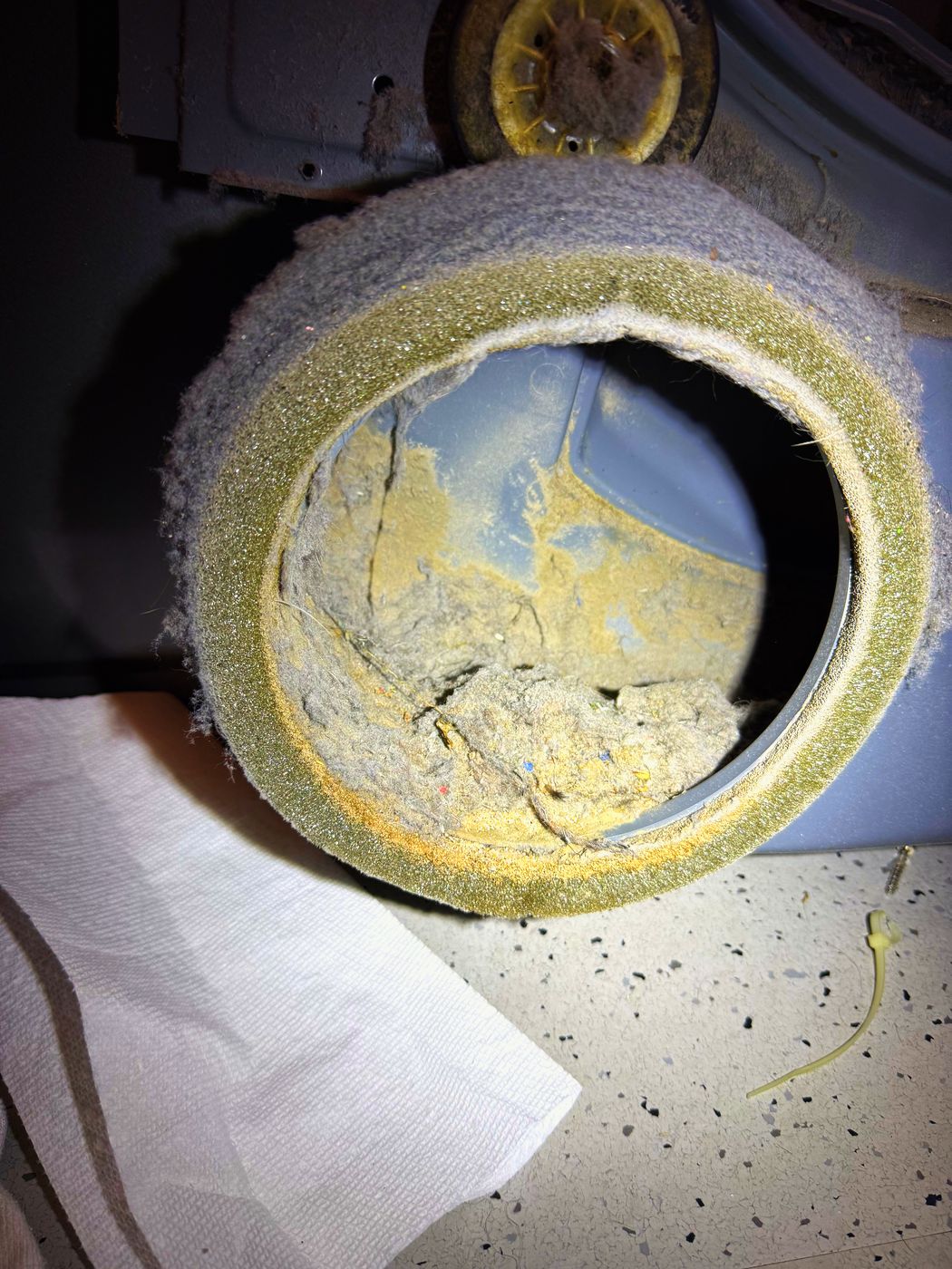 Lint packed solid around the blower inlet. This is inside the machine, not out in the vent duct