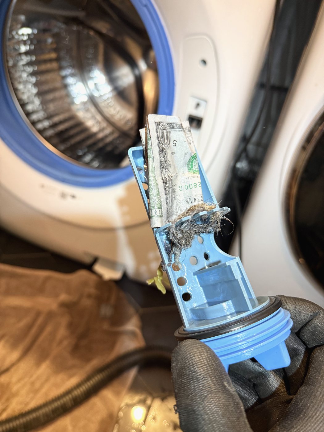 The drain pump filter out of the machine: a one-dollar bill flattened across the mesh, with lint and hair packed in behind it