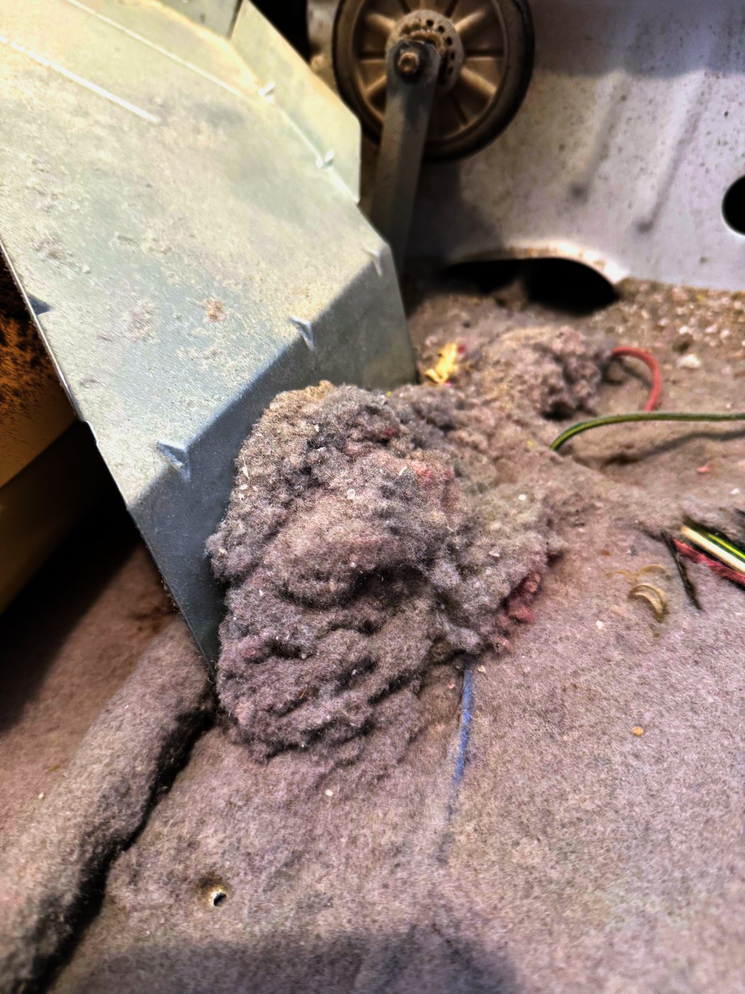 Inside the cabinet: lint lying over the base in a felted layer, with the wiring buried in it. This is a gas appliance