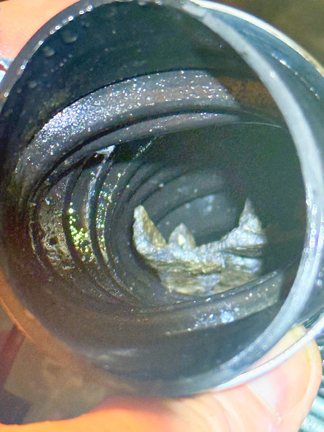 Inside the drain hose, taken off the pump: fragments lodged in the corrugations. The pump they went through did not survive them